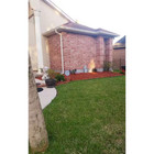 Longleaf Pine Straw Landscaping Roll  Red Uv Resistant Ground Cover  Covers 125 