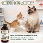 Tapeworm Dewormer For Cats   Kittens     Praziquantel Liquid 100 Ml For Cats 6 Wee