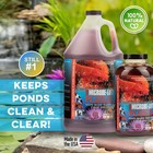 Microbe Lift Pl Bacteria For Watergardens 1 Gallon Promotes Faster Fish Growth