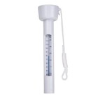 White Swimming Pool Thermometer Floating Water Temperature Swimming Pool P6t8
