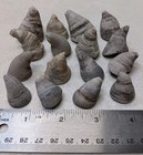 16 Pc Michigan Horn Coral Rugosa Fossil Lot Unpolished Devonian-aged 