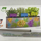Dan   Darci Paint   Plant Pizza Herbs Growing Kit   Arugula Oregano Basil