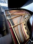 1923 Centennial Chickering Grand Piano - Ivory Keys Mahogany - Restored To New 