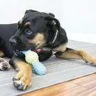 Kong Corestrength Dental Chew Toy For Dogs Small Green Bow Tie Bone