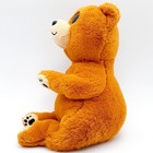 Ty Beanie Boos Duncan Plush Stuffed Animal Brown Glitter Eyes