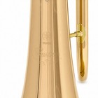 Yamaha Yfh-8315iig Custom Series Bb Flugelhorn With Gold Brass Bell