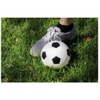 4pc Kids Toy Sports Balls With 1 Pump basketball Soccer Football Playground Ball