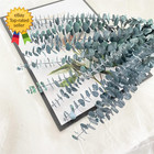 Eucalyptus For Shower 10 Pcs Hanging Dried Eucalyptu Stems 17  Real Eucalyptus