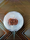 12 Mukhi Rudraksha Pendent Nepal Origin Represent God Sun Center Of Brilliancy