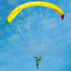 Brushless Motor Remote Control Electric Paraglider Wingspan 81cm Paramotor Model