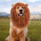 Pet Costume Lion Mane Wig W  Ears For Large Dog Christmas Cloth Funny Dress Up