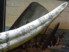 Scrimshaw Reproduction Walrus Tusk The Whaler  ionia  18 Inches Long