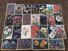 Lot Of 25 Flowers-stehli  Gyger mainzer swiss Floral postcards  Unused r186