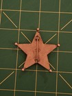1930s Illinois Asst Vet Badge Agriculture Animal Industry Veterinary Services 
