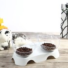 Pet Cat Dog Feeder Feeding Double Bowl Food Water Twin Dishes Elevated Stand
