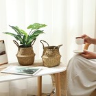 8 Pcs Woven Seagrass Baskets Belly Basket Folding Boho Natural Plant Pot With   