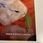 God s Design For Life  Student Book Master Books  Used  Loose Pages