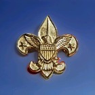 Bsa -boy Scouts Of America Tenderfoot Lapel Pin Gold Tone Eagle Logo