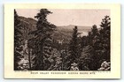C1880 Buffalo Ny Buffalo Furniture Co P w  Forbush Victorian Trade Card P109