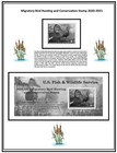 Mac s  rw87 2020 - Us Federal Duck Stamp Mint Ognh Free Mount  