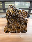 146 4grams Sericho Pallasite Meteorite Slice