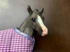 Breyer Traditional   1749 Sweet Pea Grey Foal On Amber Mold