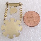 Vintage Ioof Odd Fellows Rebekah Degree Veteran 55 Year Member Jewel badge pin