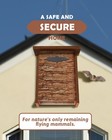 Large Bat House For Outdoors Clearance  Western Red Cedar longtime Lasting  D   