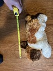 Ty Beanie Buddy Sampson Dog Plush Doll Stuffed Animal Vintage 2003