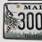Maine License Plate     free        me Repeating Number Triple 0 Chickadee Tag 3000 Lj
