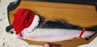 Gemmy Travis The Singing Trout Christmas Edition 1999 Sings But No Wiggle