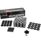 Brian Tooley Btr Platinum  660  Dual Valve Spring Kit Steel Ls1 Ls2 Ls3 Lq4 Lq9