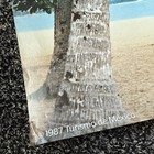 Vintage Mexico Travel Poster Mexican Beach Tourism Romantic Palm Trees 30  X 20 