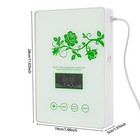 Vegetable Ozone Sterilizer Ozone Machine Purify Fruits And Vegetables 600mg_h