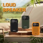 D220 Portable Radio Am Fm Shortwave Radio Receiver Pocket Radio  2 Aa Batt