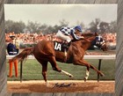 Secretariat 1973 Kentucky Derby 16  X 20  Framed Signed Ron Turcotte