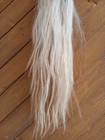 Long White Horse Tail Measuring Circa 90-120 Cm Long Taxidermy Arts Crafts 
