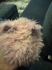 Vintage Pink Cat Plush Toy     Big Green Eyes     Rare   Collectible