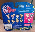 Littlest Pet Shop  1000  1001  hasbro 2009  -- Polar Bear Snowballs -- Sealed