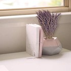 Dried Lavender Bundles Natural Dried Lavender Flowers 280-300 Stems 16    For Home