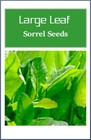 Large Leaf Sorrel Herb Seeds   Non-gmo   Heirloom   Fresh Herb Seeds