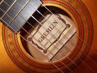Gremlin Acoustic Guitar With Case Vintage Model G10n
