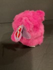 Puffkins Rosie Pink Bear Plush  1998      Vintage Collectible With Tags