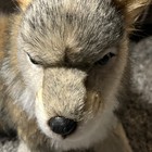 Hansa Portraits Of Nature Sitting Wolf Cub 32 Adult-owned W  Tags   Booklet Euc