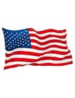 Domestar Usa American Flag Cape Cloak Costume  Wearable Flag With Sleeves Cla   