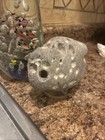 Multi Hole Hag Stone 2lbs