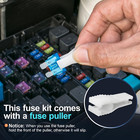 300pcs Car Fuse Assortment Kit 160 Mini Blade   90 Standard Automotive Fuses