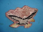 Vietnam War Patch  Us 101st Airborne Division   Wings Of The Eagle  