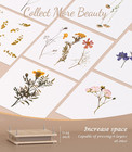 Flower Press Kit 11x11 Wooden Diy Press For Dried Flowers   Craft Kit Large