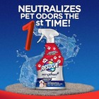 Pet Expert Carpet Stain Cleaner Solution   Odor Remover Spray 22 Oz